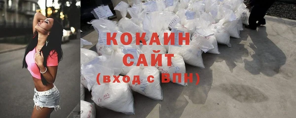 сатива Новодвинск