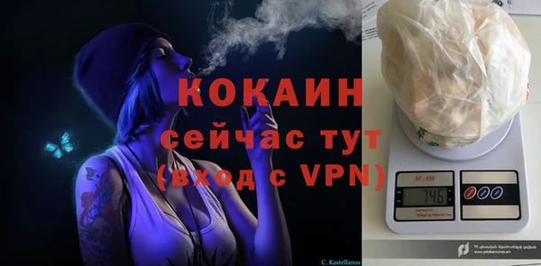 мяу мяу мука Алексин