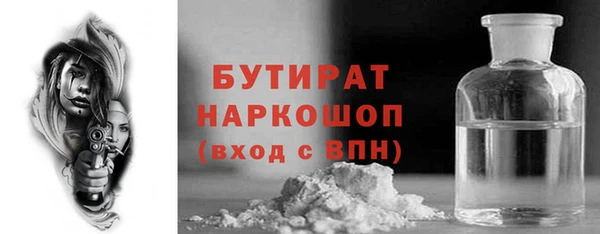 сатива Новодвинск