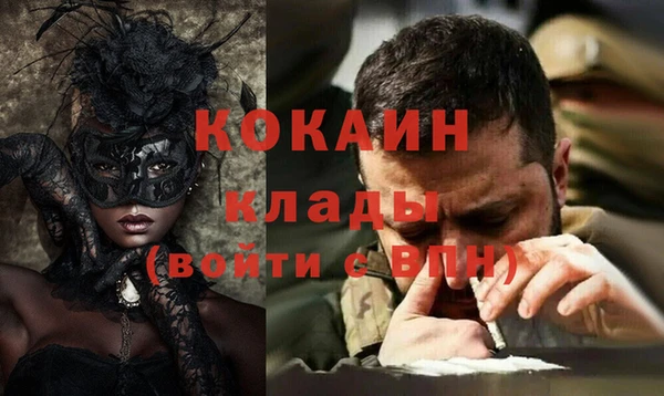 сатива Новодвинск