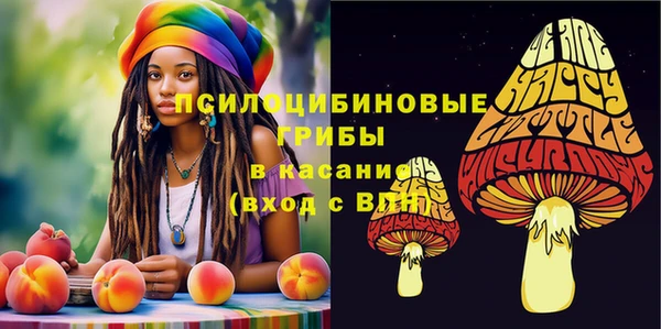 спайс Аша
