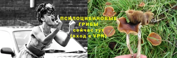 мяу мяу мука Алексин